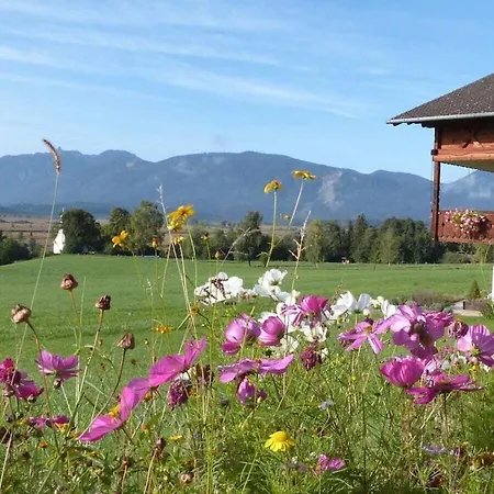 Alpspitz Comfortable * Murnau am Staffelsee